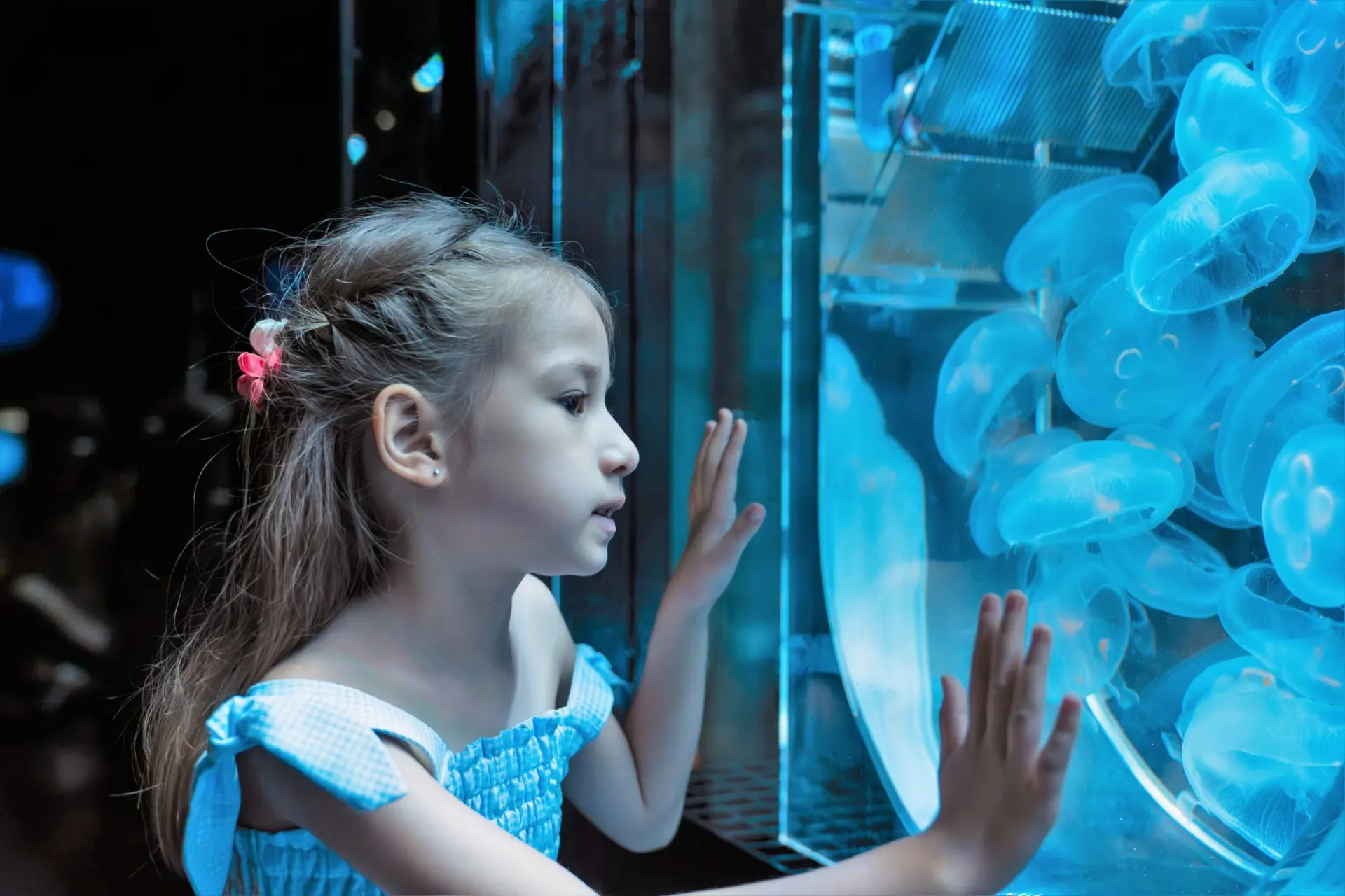 Aquaria Phuket — 1