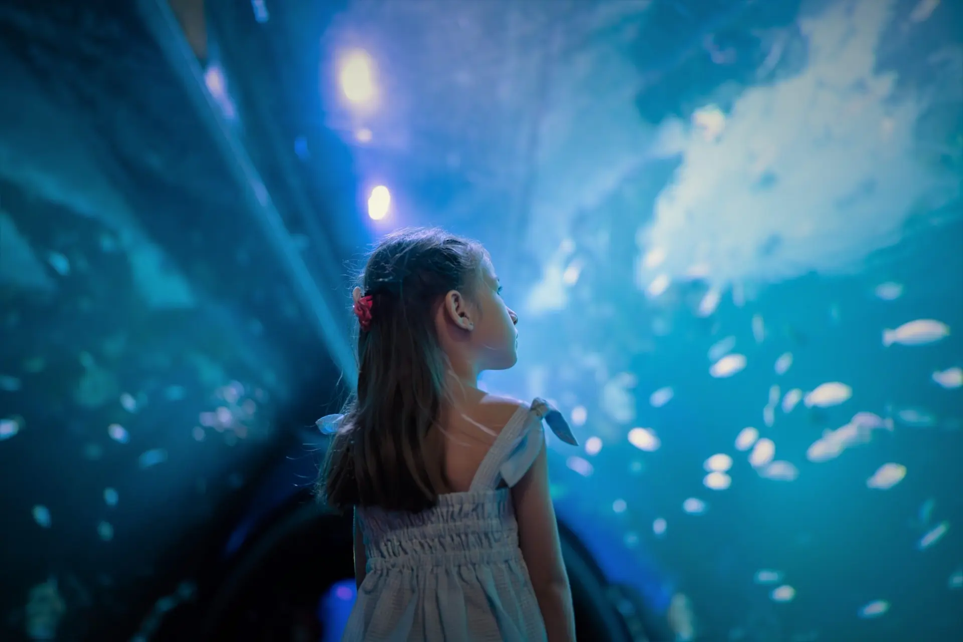 Aquaria Phuket — 2