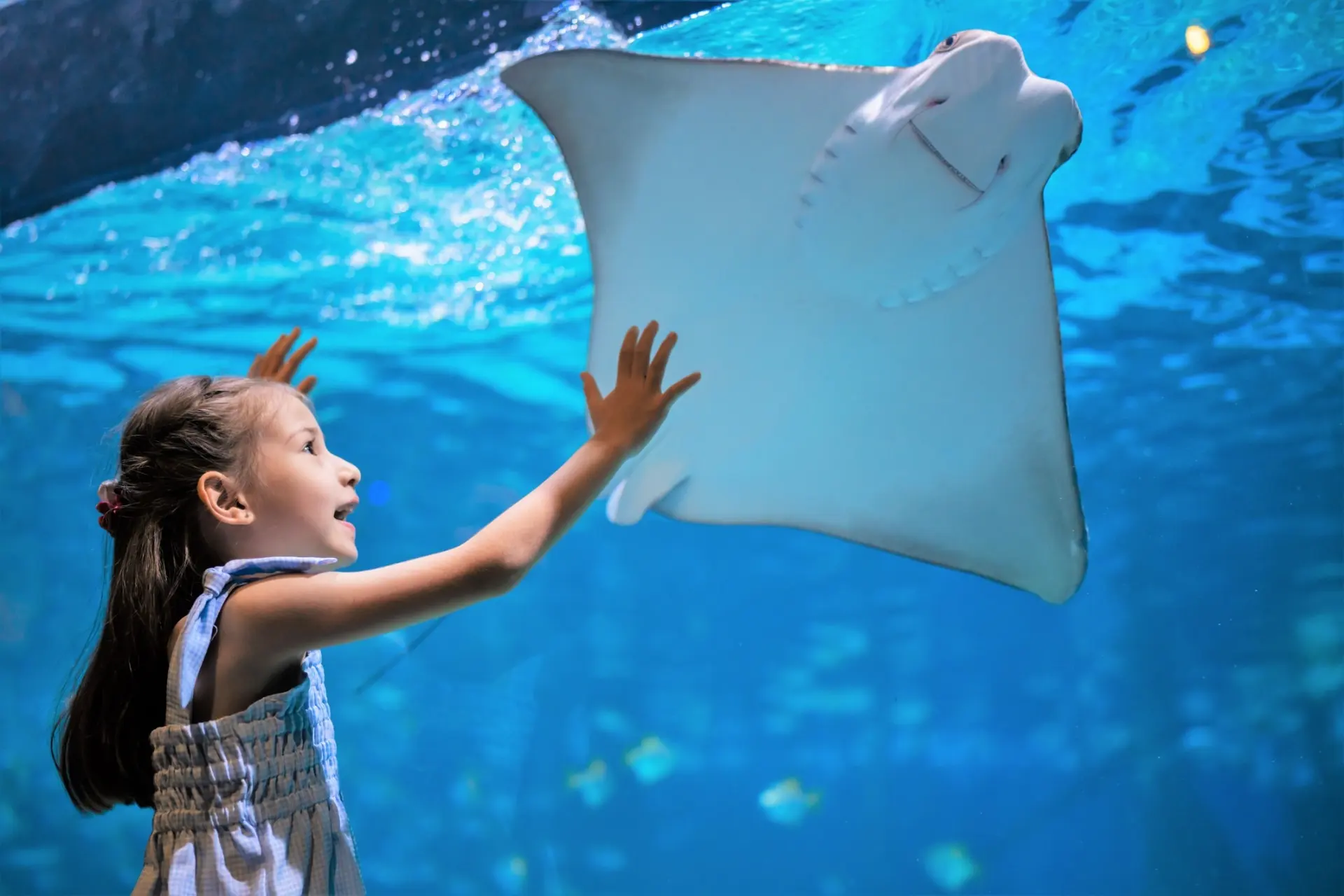 Aquaria Phuket — 4
