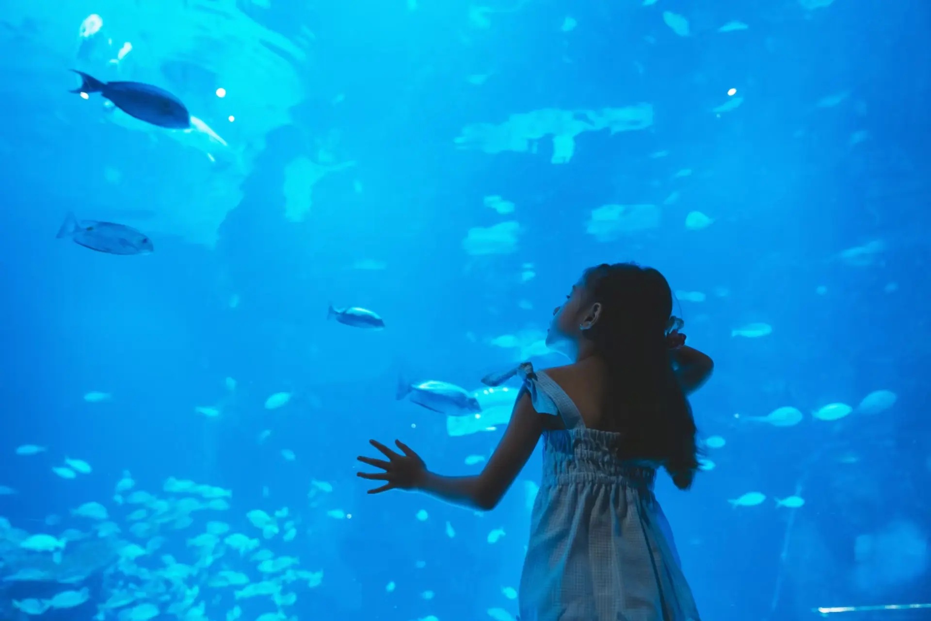 Aquaria Phuket — 7