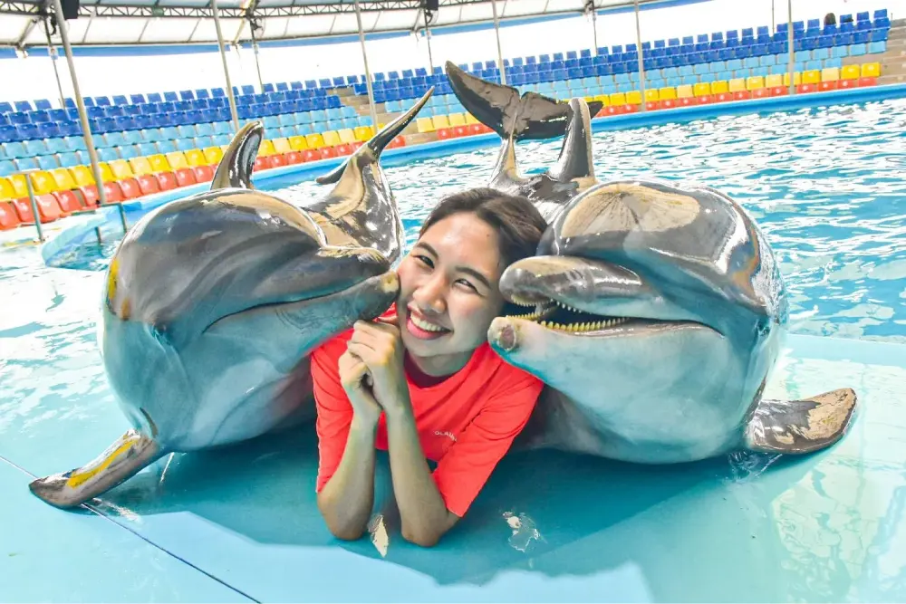 Dolphins Bay Phuket — 2