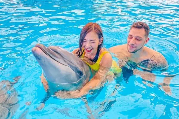 Dolphins Bay Phuket — 3