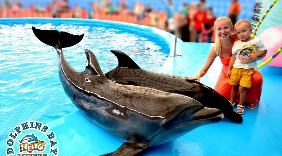 Dolphins Bay Phuket — 7