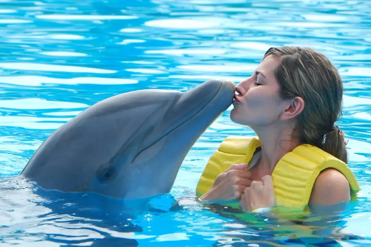 Dolphins Bay Phuket — 13